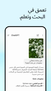 تنزيل تطبيق ChatGPT Plus 5 مهكر للأندرويد 2025 من Apkmoddown 4